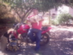 ADESTRADOR PROFISSIONAL DANIEL SOBROSA