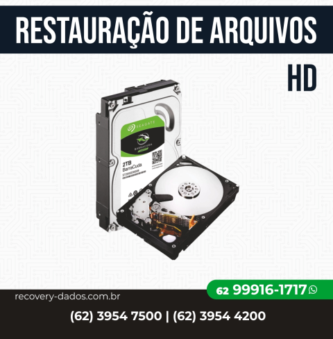 62-3954-7500 RECUPERAÇÃO DE HD GOIANIA, RECOVERY DADOS, RECUPERAÇÃO DE ARQUIVOS